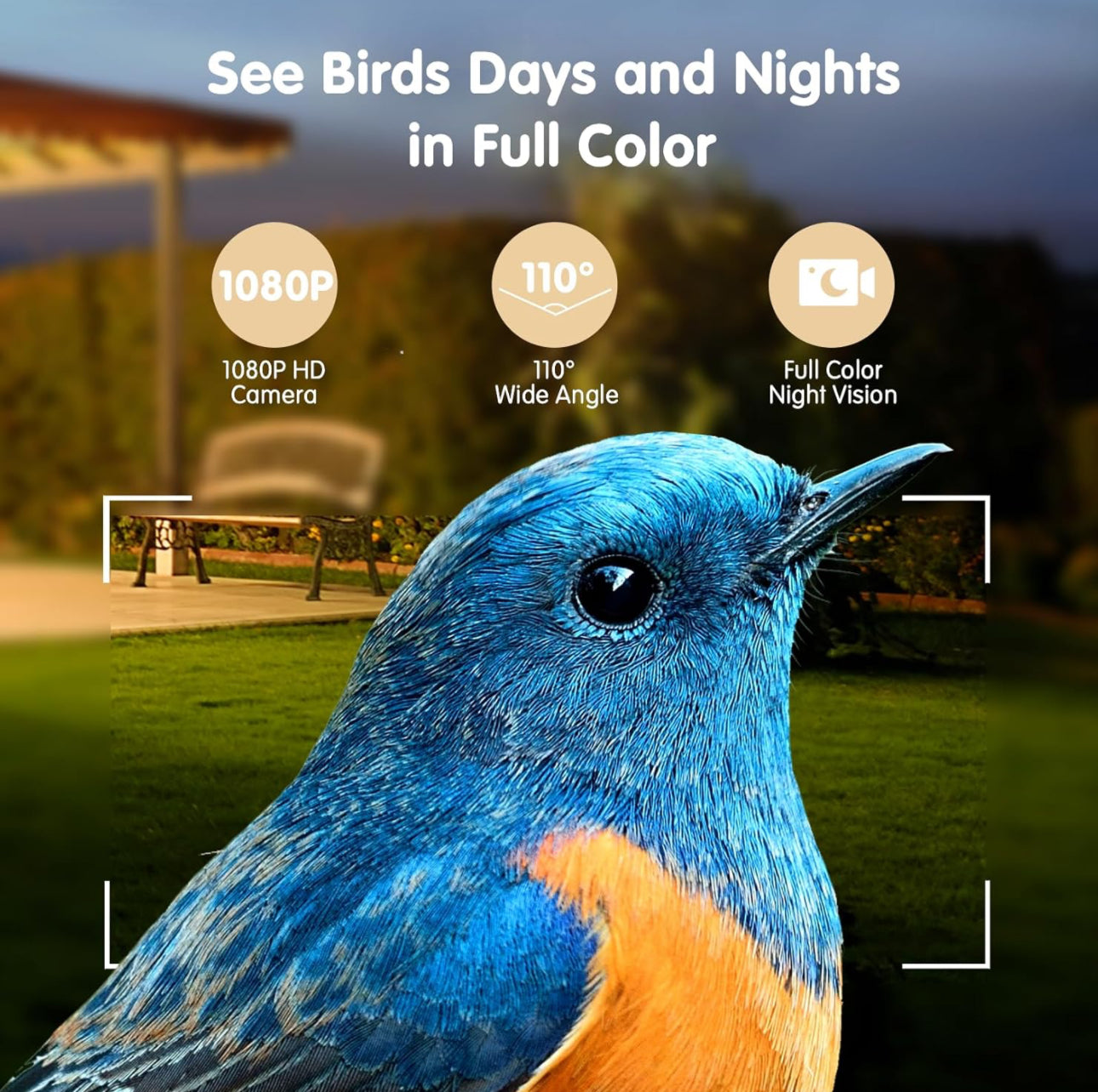 Amaprime® Smart Bird Feeder with Camera Solar Powered