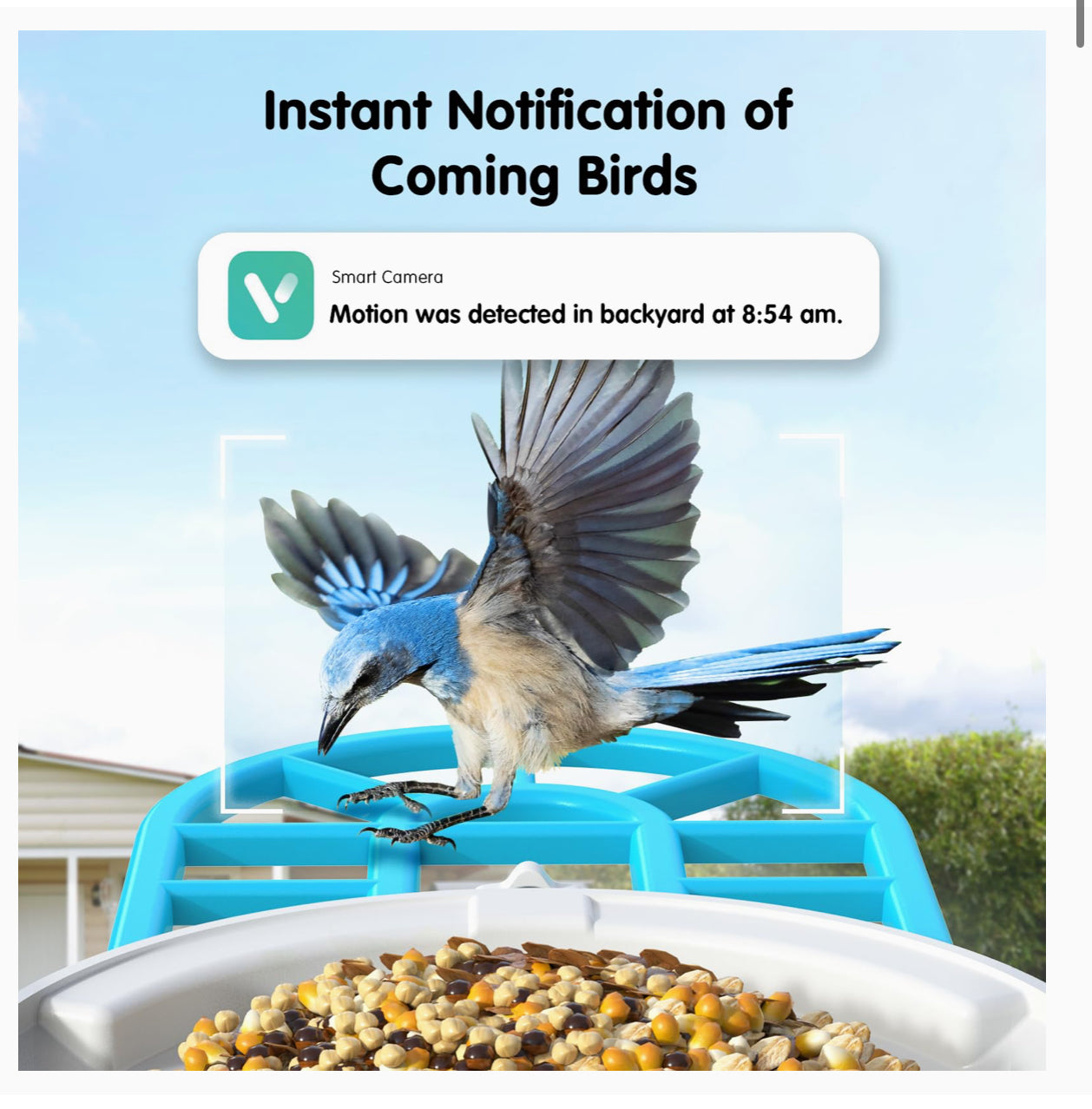 Amaprime® Smart Bird Feeder with Camera Solar Powered