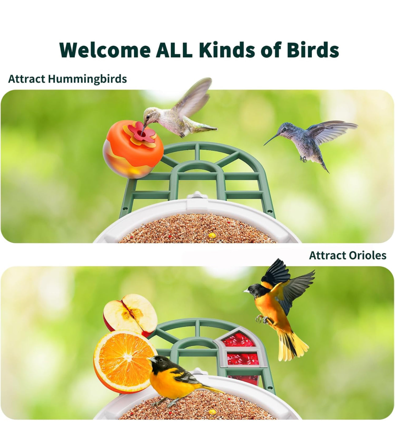 Amaprime® Smart Bird Feeder with Camera Solar Powered